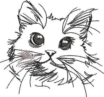 BFC2236 Kitty Sketches