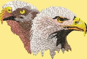 BFC2256 Two Proud Eagles