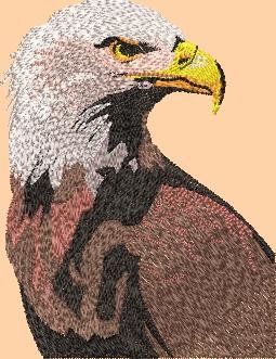 BFC2256 Two Proud Eagles