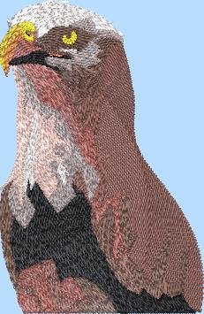 BFC2256 Two Proud Eagles