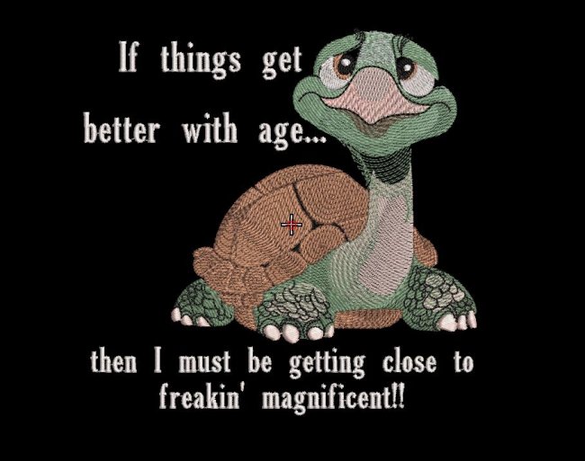 BFC32066 Freakin' Magnificent!