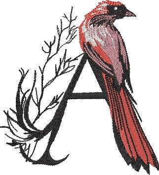 BFC32270 Red Bird Alpha A