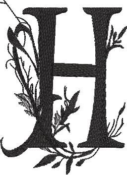 BFC32270 Black Alpha H