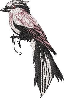 BFC32270 Red Bird Four