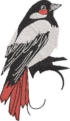 BFC32270 Red Bird  Seven