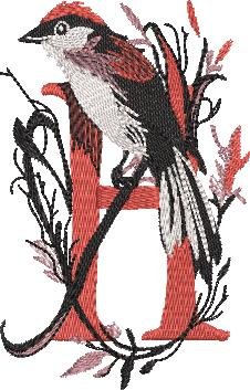 BFC32270 Red Bird Alpha H