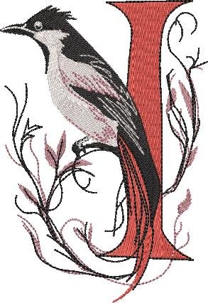 BFC32270 Red Bird Alpha I