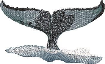 BFC32278 Whale Fluke