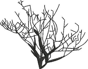 BFC1614 Flora - Bare Trees in Winter