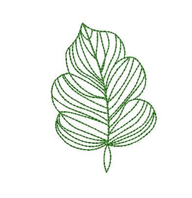 FBFC2026 Leaf