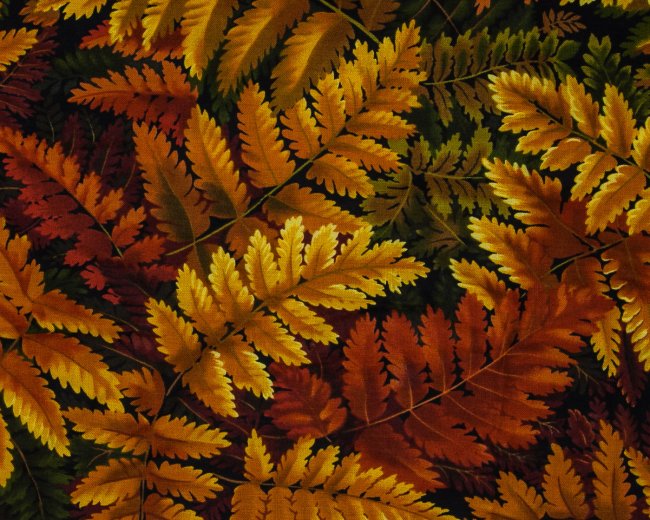 Landscape Pieces - Large Leaves 2