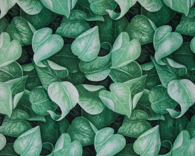 Landscape Pieces - Large Leaves 2