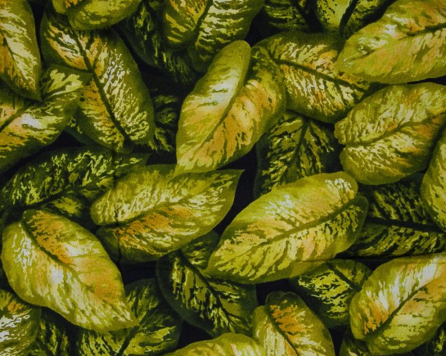 Landscape Pieces - Large Leaves 2