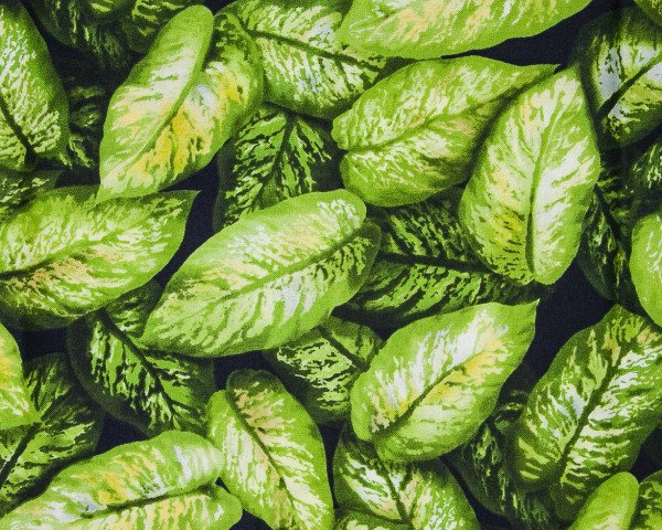 Landscape Pieces - Large Leaves 1