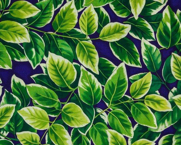 Landscape Pieces - Large Leaves 1