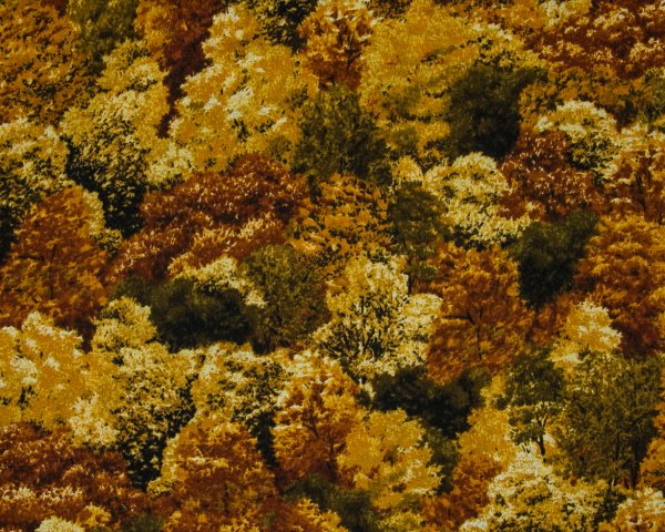 Landscape Pieces - Trees