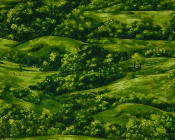 Landscape Pieces - Trees