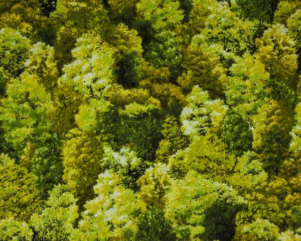 Landscape Pieces - Trees