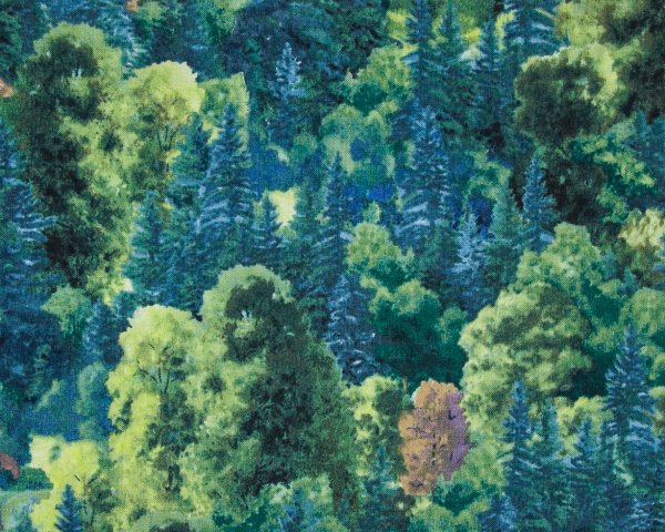 Landscape Pieces - Trees