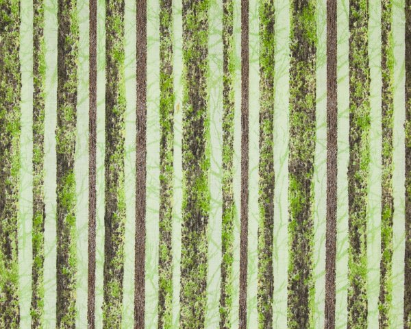 Landscape Pieces - Wood