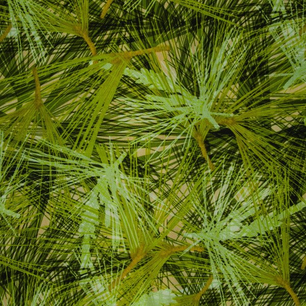 Landscape Pieces -Grasses 1