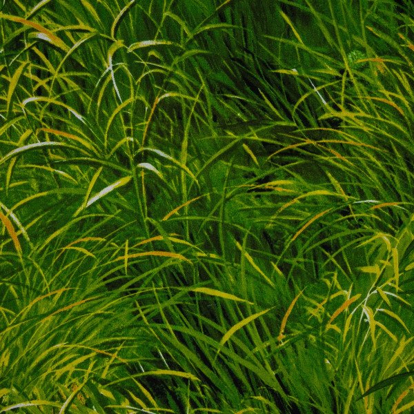 Landscape Pieces -Grasses 1