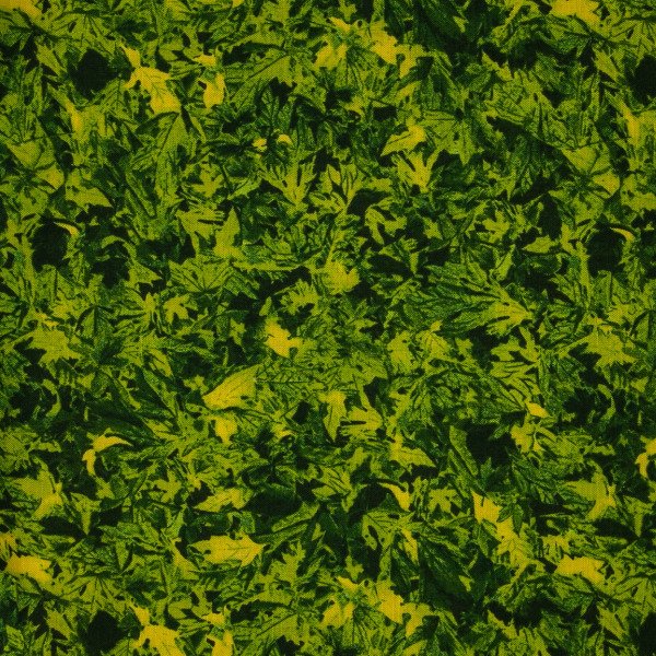 Landscape Pieces -Grasses 2