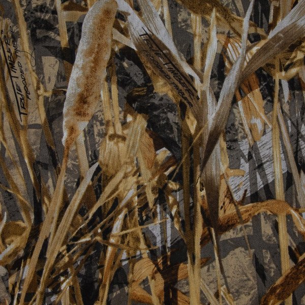 Landscape Pieces -Grasses 2